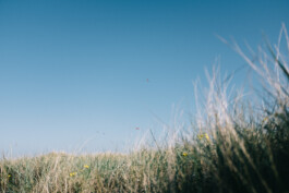 Christian Bartle | Fotografie