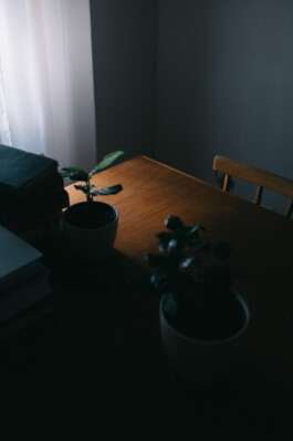 Christian Bartle | Fotografie