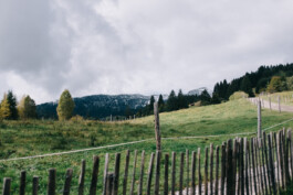 Christian Bartle | Fotografie