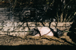 Christian Bartle | Fotografie